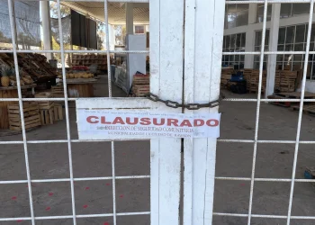 Conmoción en Rawson: Clausuran una verdulería tras la muerte de una perra callejera