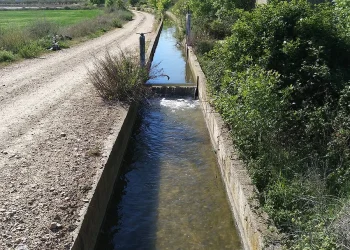 Alivio al campo sanjuanino: El E.P.R.E. confirmó la baja del IVA al 10,5% para el riego agrícola