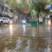 Otoño en San Juan: se espera un trimestre más seco y cálido de lo usual