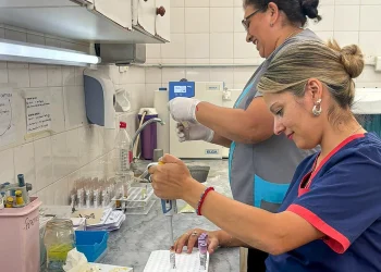 Salud pública: Caucete y Rawson refuerzan sus hospitales con nuevos servicios y profesionales