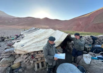 Secuestran estupefacientes a dos ciudadanos chilenos que se encontraban en el territorio argentino