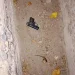 Hallazgo policial en el Barrio San Lorenzo: Secuestran un arma de fuego abandonada