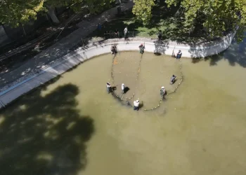 El fin de una era en el Lago del Parque y el inicio de una nueva vida en Rivadavia