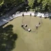 El fin de una era en el Lago del Parque y el inicio de una nueva vida en Rivadavia
