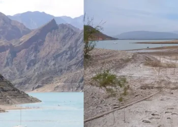 Conflicto hídrico en San Juan: Productores rechazan el nuevo cronograma de riego y denuncian riesgos para la próxima cosecha