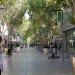 Revolución en las vidrieras: El avance imparable de los polirrubros sobre el comercio tradicional sanjuanino