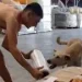 «Tenemos el perro que lo corta»: el ingenioso video de una distribuidora que es furor en redes