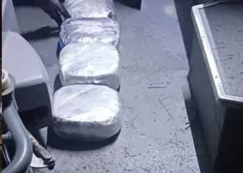 Golpe al narcotráfico: Incautan más de 4 kilos de marihuana en un ómnibus de larga distancia