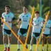 Golpe al sueño mundialista: Joaquín Panichelli sufrió una grave lesión y se pierde la Copa del Mundo