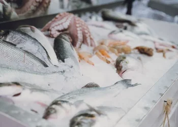 Semana Santa: Refuerzan los controles en la venta de pescado en San Juan