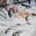 Semana Santa: Refuerzan los controles en la venta de pescado en San Juan