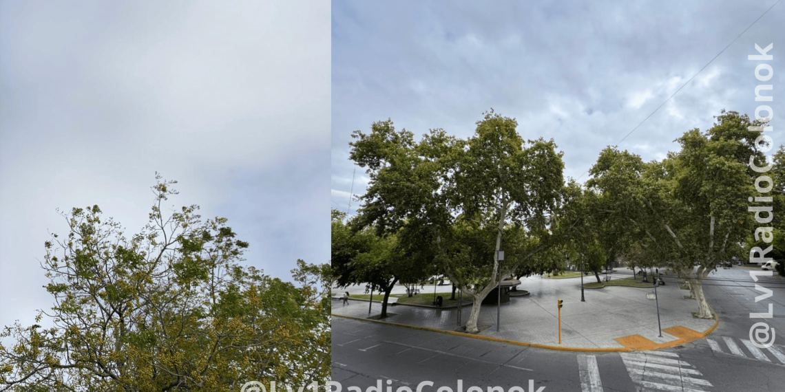 El frío, ¿llegó para quedarse en San Juan?: qué dice el pronóstico