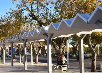Violenta riña en la Terminal: un «trapito» fue condenado a prisión efectiva tras pelear por «la zona»