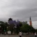 Miércoles fresco y estable: San Juan tendrá una jornada sin lluvias y con cielo nublado