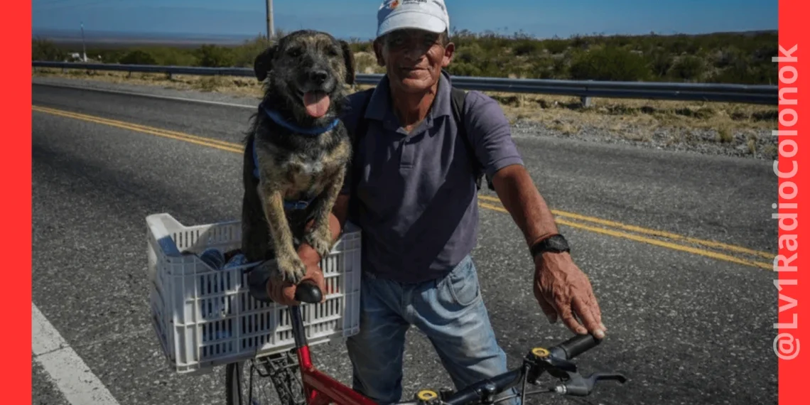 Crónica: Un hombre, un perro y una bicicleta: la dupla que enamora a San Juan