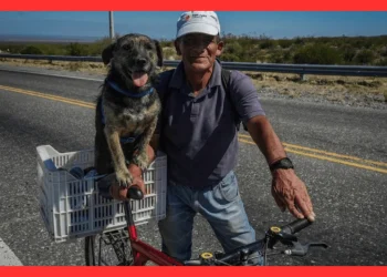 Crónica: Un hombre, un perro y una bicicleta: la dupla que enamora a San Juan