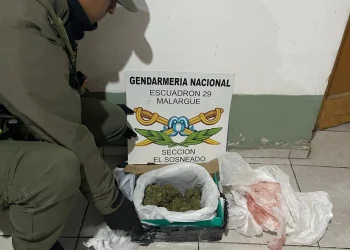 Gendarmería incautó marihuana en un micro de larga distancia: un detenido