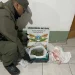Gendarmería incautó marihuana en un micro de larga distancia: un detenido