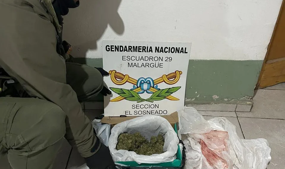 Gendarmería incautó marihuana en un micro de larga distancia: un detenido