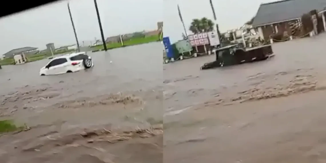 Caos en Mar del Plata: un feroz temporal inundó calles y tapó vehículos