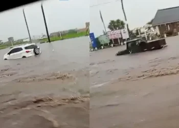 Caos en Mar del Plata: un feroz temporal inundó calles y tapó vehículos