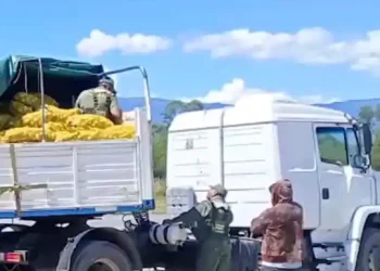 Golpe al narcotráfico en Trancas: Secuestran 150 kilos de droga ocultos en un cargamento de limones