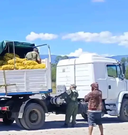 Golpe al narcotráfico en Trancas: Secuestran 150 kilos de droga ocultos en un cargamento de limones