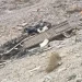 Siniestro vial en Alta Montaña: un camión volcó en la Curva de Guido y el chofer salvó su vida de milagro
