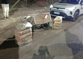 Golpe al robo hormiga: detienen a dos jóvenes con nueve bolsas de cemento robadas en un barrio de Rivadavia