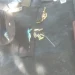 Golpe al delito en Caucete: Tres detenidos tras el hallazgo de un arsenal y drogas en un operativo de control