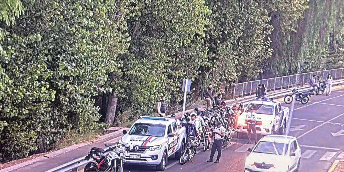 Intenso operativo de Seguridad Vial: 80 vehículos radiados y decenas de actas por alcoholemia