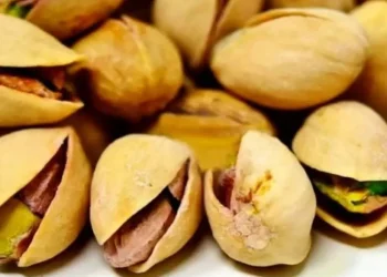 El mercado del pistacho: una demanda global que supera la oferta local