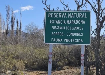 Hallazgo fatal en Zonda: Encuentran sin vida a un sereno en una reserva natural