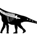 Ciencia argentina: descubrieron al «Bicharracosaurus», el nuevo gigante jurásico de Chubut