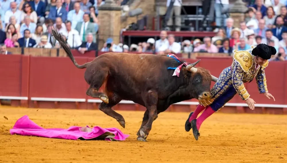 Conmoción en Sevilla: Morante de la Puebla sufrió una brutal cornada y su estado es «muy grave»