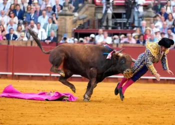 Conmoción en Sevilla: Morante de la Puebla sufrió una brutal cornada y su estado es «muy grave»