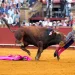 Conmoción en Sevilla: Morante de la Puebla sufrió una brutal cornada y su estado es «muy grave»