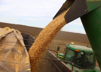 Récord histórico: el superávit comercial de marzo superó los US$ 2.500 millones impulsado por las exportaciones