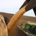 Récord histórico: el superávit comercial de marzo superó los US$ 2.500 millones impulsado por las exportaciones