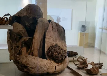 El guardián del tiempo en Calingasta: los secretos de la enigmática momia que une culturas ancestrales