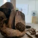 El guardián del tiempo en Calingasta: los secretos de la enigmática momia que une culturas ancestrales