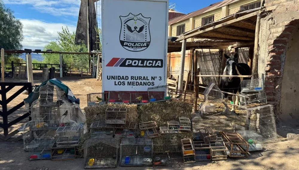 Operativo en Caucete: desbaratan dos puntos de venta ilegal de aves y rescatan 17 ejemplares
