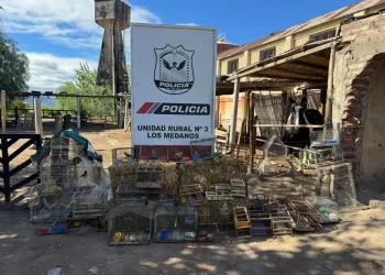 Operativo en Caucete: desbaratan dos puntos de venta ilegal de aves y rescatan 17 ejemplares