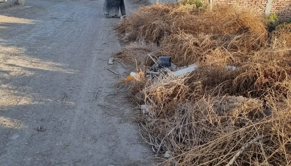 Abandono en El Medanito: vecinos exigen soluciones ante el avanzado deterioro de las calles y la falta de limpieza