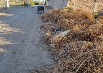 Abandono en El Medanito: vecinos exigen soluciones ante el avanzado deterioro de las calles y la falta de limpieza