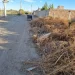Abandono en El Medanito: vecinos exigen soluciones ante el avanzado deterioro de las calles y la falta de limpieza