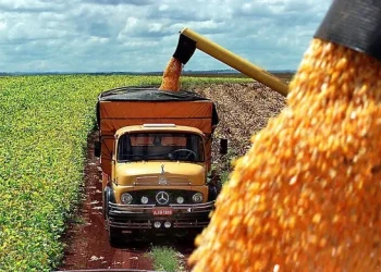 Apertura de mercados estratégicos: Argentina concreta su primera exportación histórica de maíz a China