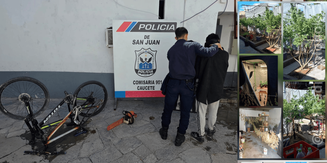 Caucete: Investigaban un robo y terminaron desbaratando un «kiosco» de drogas