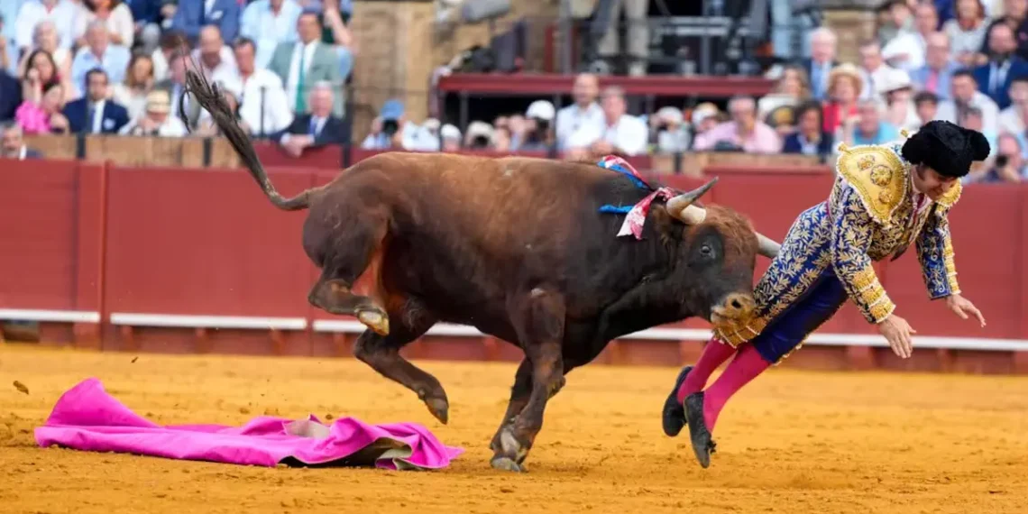 Morante de La Puebla en estado grave tras una brutal cornada en la Maestranza de Sevilla