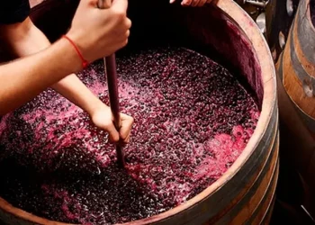Resero apuesta a la innovación: el mosto sanjuanino suma «dos hermanos nuevos» para ganar mercados